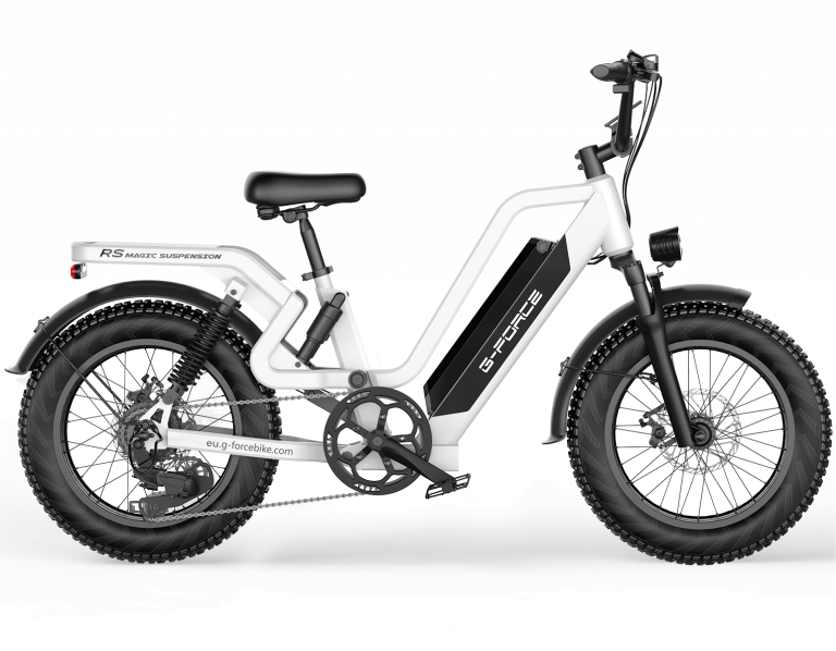 G-Force RS ST PRO — Cargo Fat Bike 48V 25Ah 2