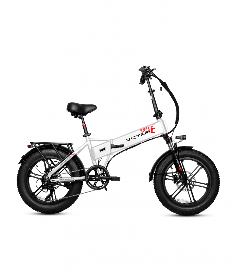 VICTRIP T5 Fat Bike 48V 15Ah