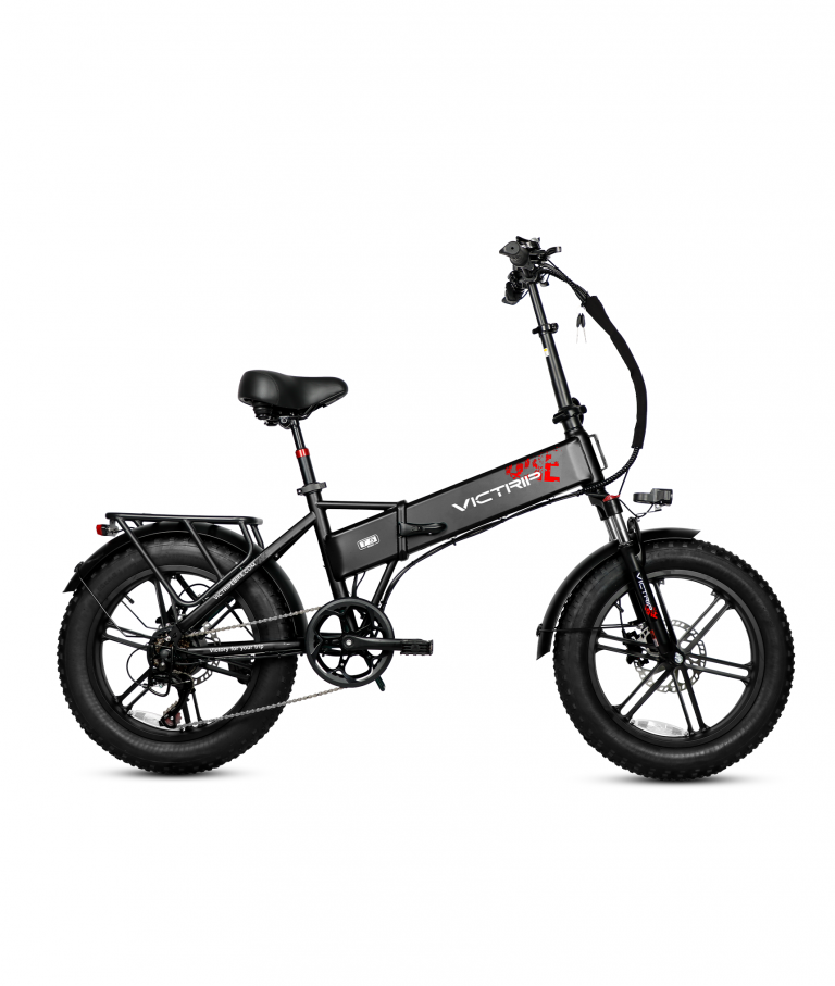 VICTRIP T5 Fat Bike 48V 15Ah 2