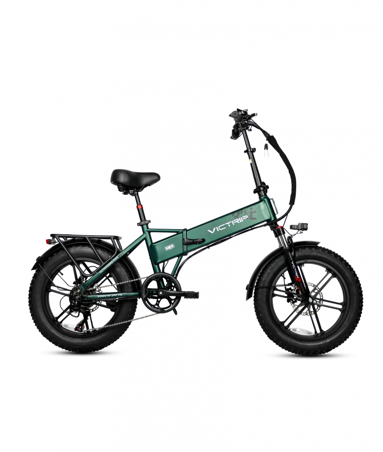 VICTRIP T5 Fat Bike 48V 15Ah 3