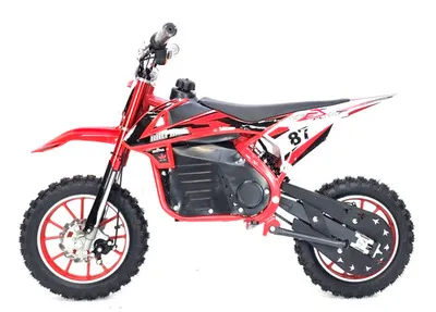 Mini Cross Elettrica CRZ 1000W 36V Ruota 10" 2